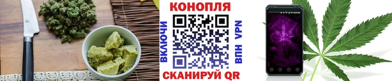 где продают наркотики  Карабаново  Canna-Cookies марихуана 